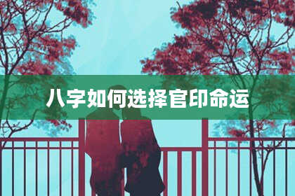 八字如何选择官印命运
