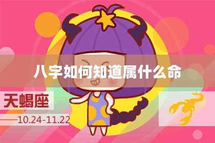 八字如何知道属什么命