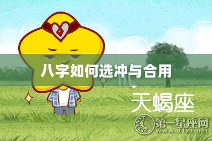 八字如何选冲与合用
