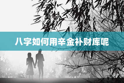 八字如何用辛金补财库呢