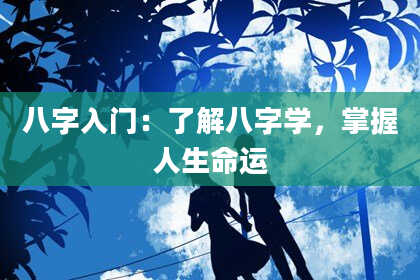 八字入门：了解八字学，掌握人生命运