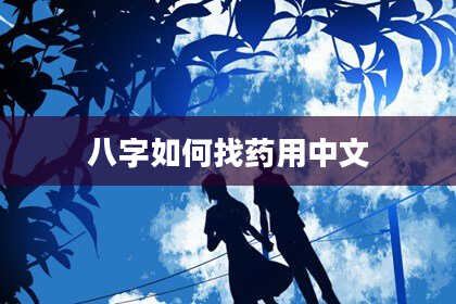 八字如何找药用中文