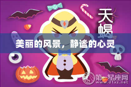 美丽的风景，静谧的心灵