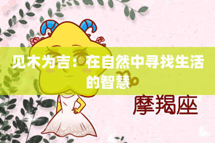 见木为吉：在自然中寻找生活的智慧