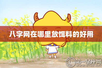 八字网在哪里放饵料的好用