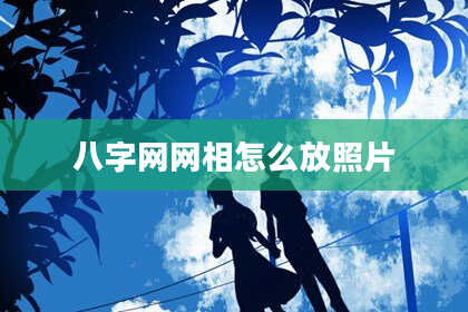 八字网网相怎么放照片