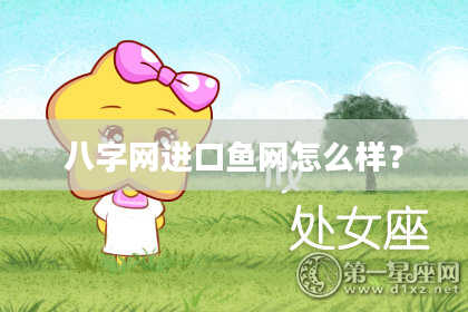 八字网进口鱼网怎么样？