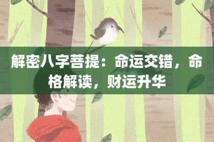 解密八字菩提：命运交错，命格解读，财运升华
