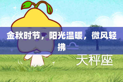 金秋时节，阳光温暖，微风轻拂