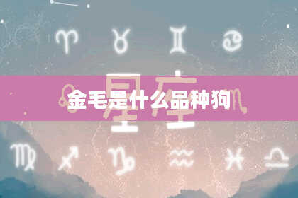 金毛是什么品种狗