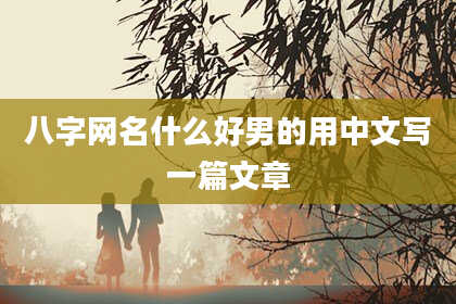 八字网名什么好男的用中文写一篇文章