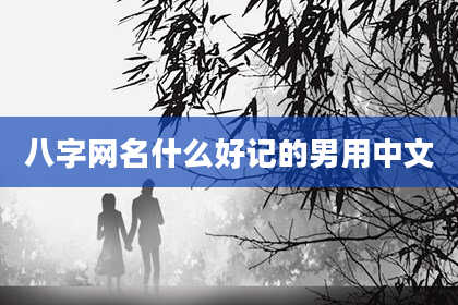 八字网名什么好记的男用中文
