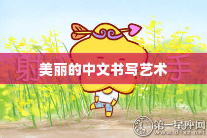 美丽的中文书写艺术