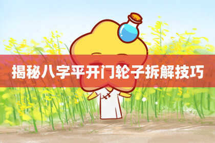 揭秘八字平开门轮子拆解技巧