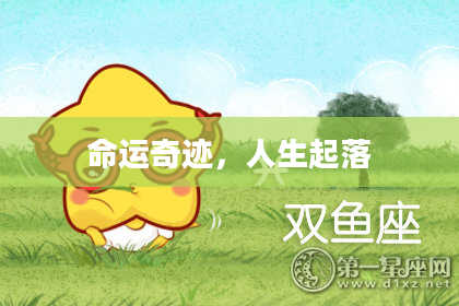 命运奇迹,人生起落
