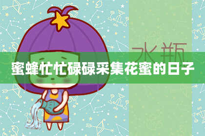 蜜蜂忙忙碌碌采集花蜜的日子