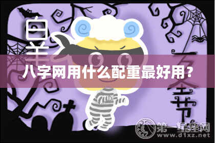 八字网用什么配重最好用?