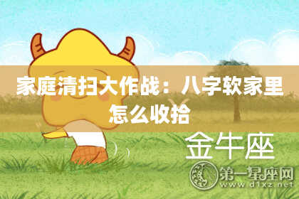 家庭清扫大作战：八字软家里怎么收拾