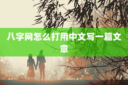 八字网怎么打用中文写一篇文章