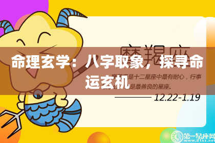 命理玄学:八字取象,探寻命运玄机