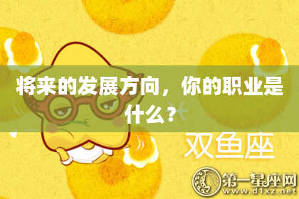 将来的发展方向,你的职业是什么?