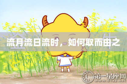 流月流日流时，如何取而由之