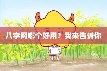 八字网哪个好用？我来告诉你