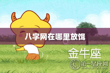 八字网在哪里放饵
