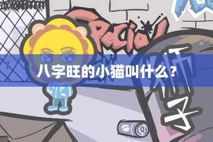 八字旺的小猫叫什么？