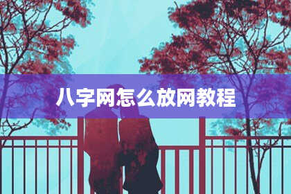 八字网怎么放网教程