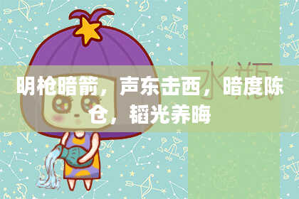 明枪暗箭，声东击西，暗度陈仓，韬光养晦