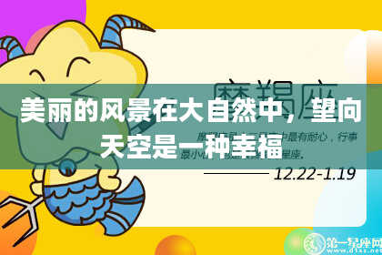 美丽的风景在大自然中,望向天空是一种幸福