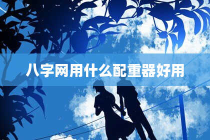 八字网用什么配重器好用