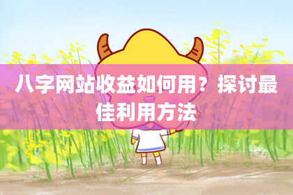 八字网站收益如何用？探讨最佳利用方法