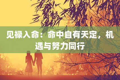 见禄入命：命中自有天定，机遇与努力同行