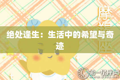 绝处逢生:生活中的希望与奇迹