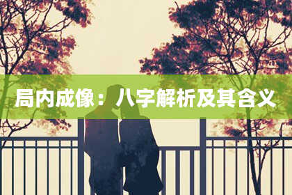 局内成像：八字解析及其含义