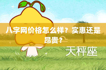 八字网价格怎么样？实惠还是昂贵？