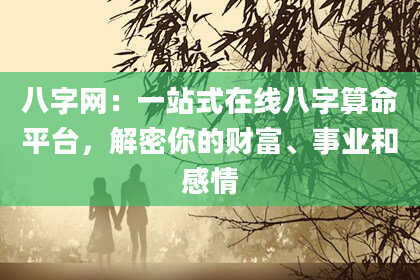 八字网：一站式在线八字算命平台，解密你的财富、事业和感情