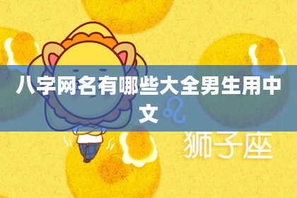 八字网名有哪些大全男生用中文