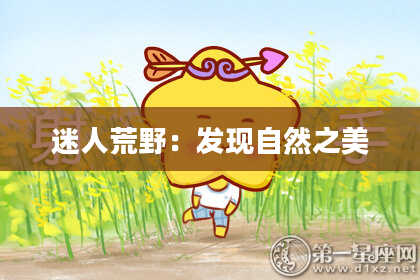 迷人荒野：发现自然之美