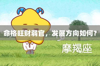 命格旺财弱官，发展方向如何？