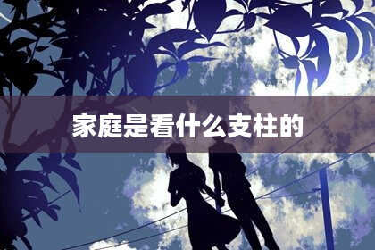家庭是看什么支柱的