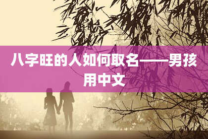 八字旺的人如何取名——男孩用中文