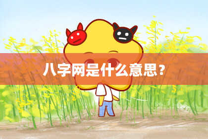 八字网是什么意思?