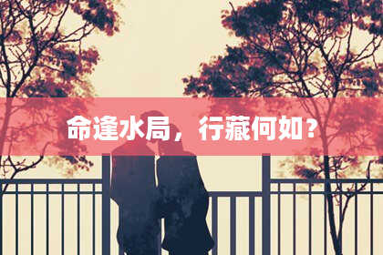 命逢水局，行藏何如？