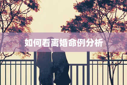 如何看离婚命例分析