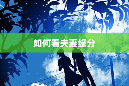 如何看夫妻缘分