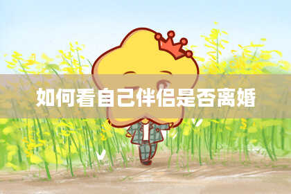如何看自己伴侣是否离婚