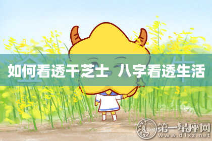 如何看透干芝士  八字看透生活